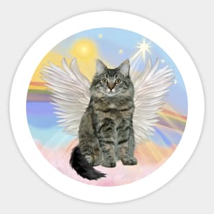 A Maine Coon Cat Angel in Heaven's Clouds Sticker